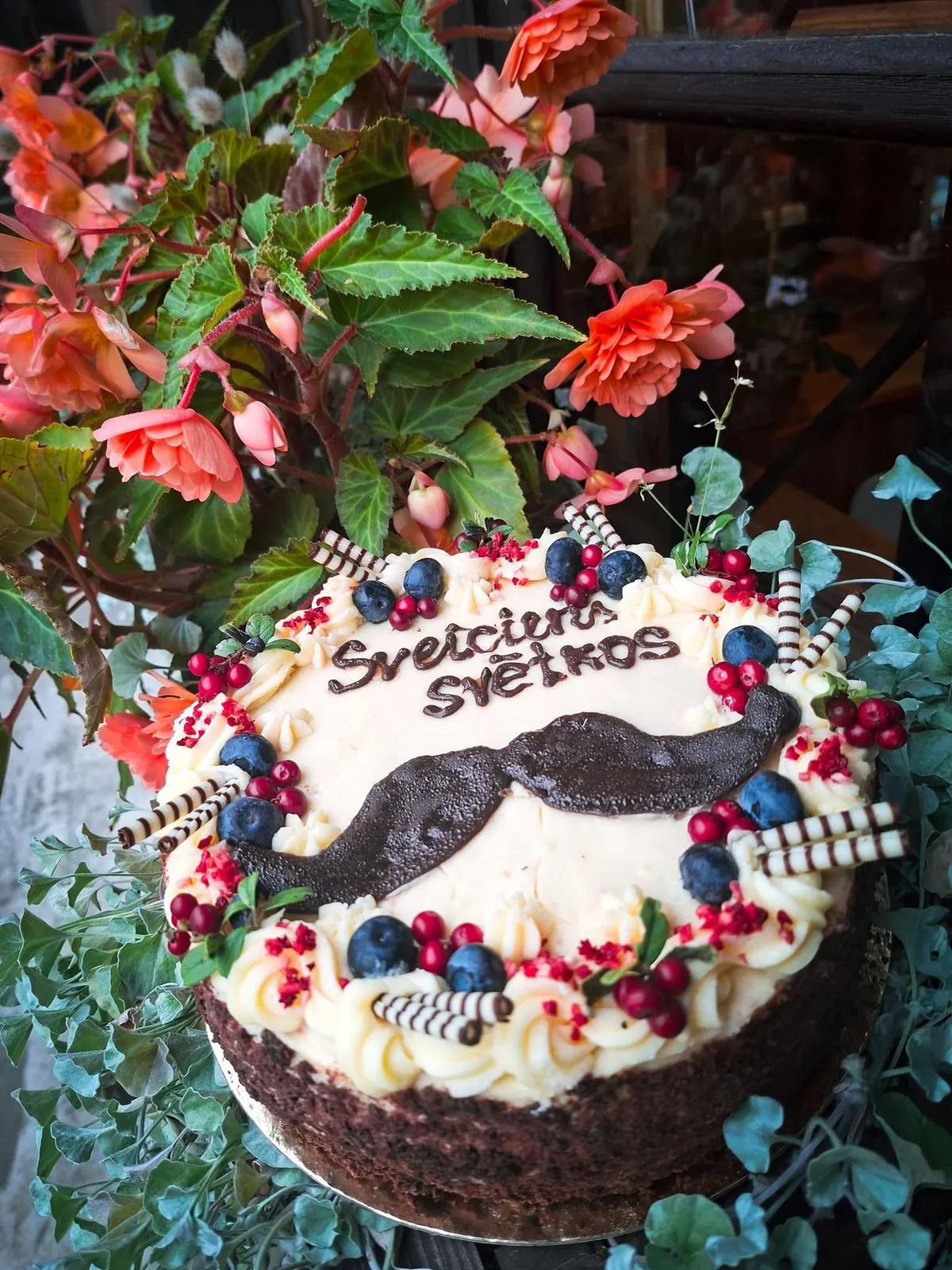 Svētku torte ar šokolādes ūsām un ogām
